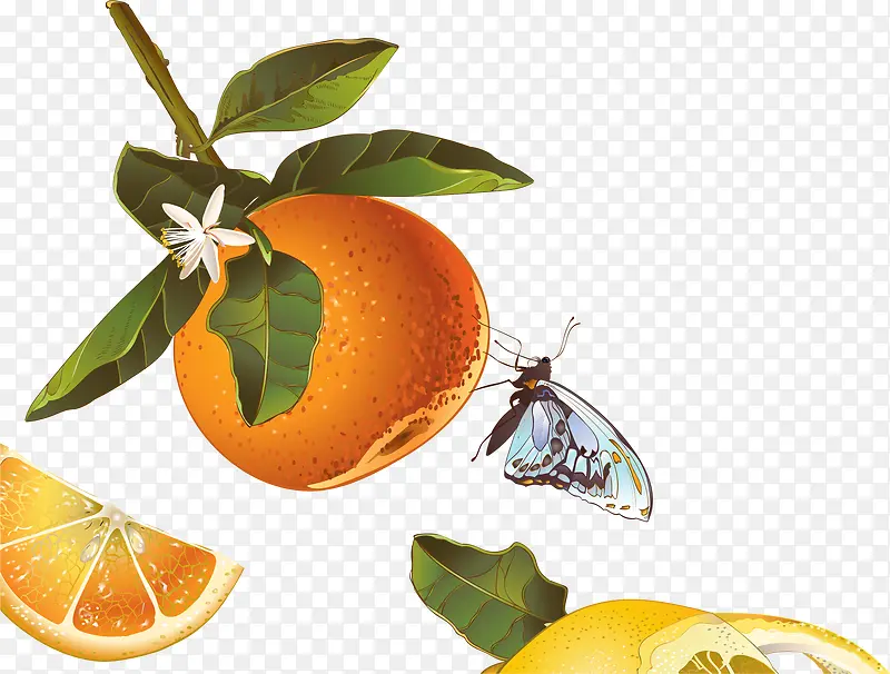 ʸ��ˮ��-������