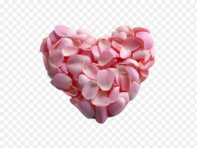 2017�� ����-������