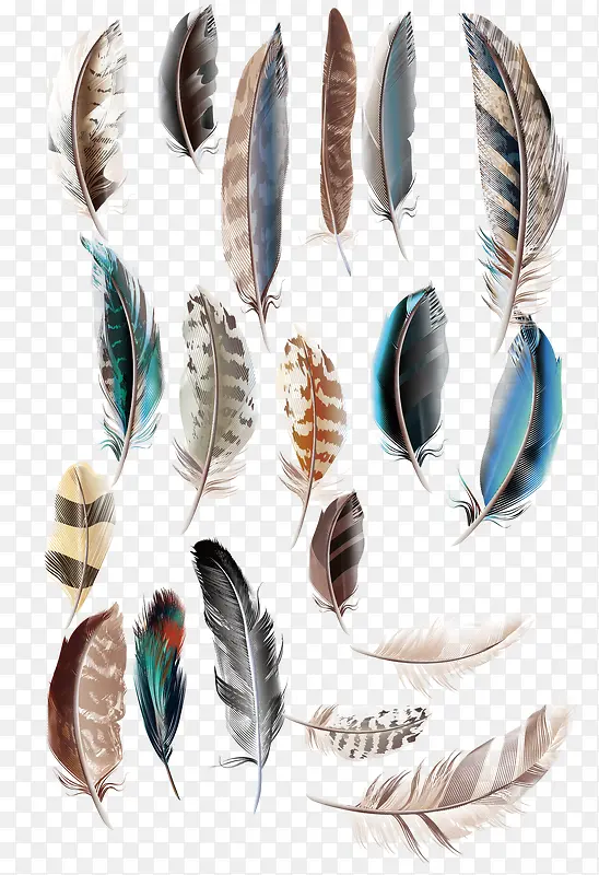 ʸ����ë�ز�-������