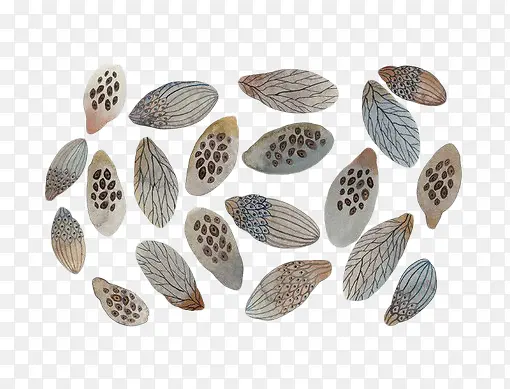 ������ëͼ��-������