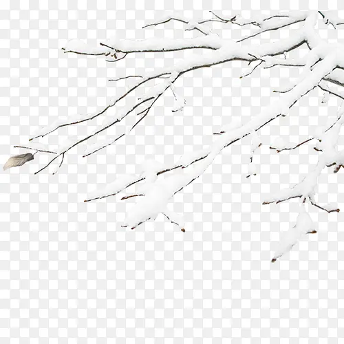 �������֦-������