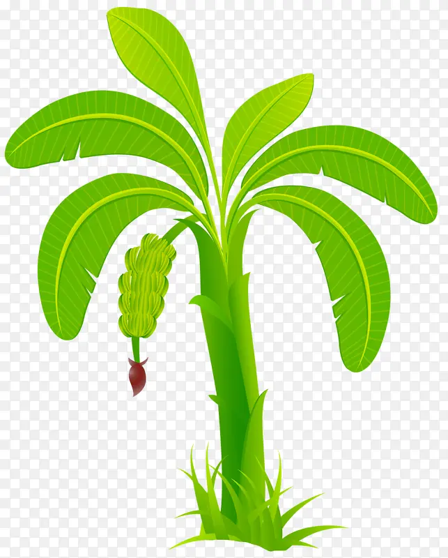 ��ɫ�㽶��-������