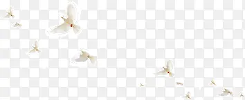 �ɰ��İ׸�-������