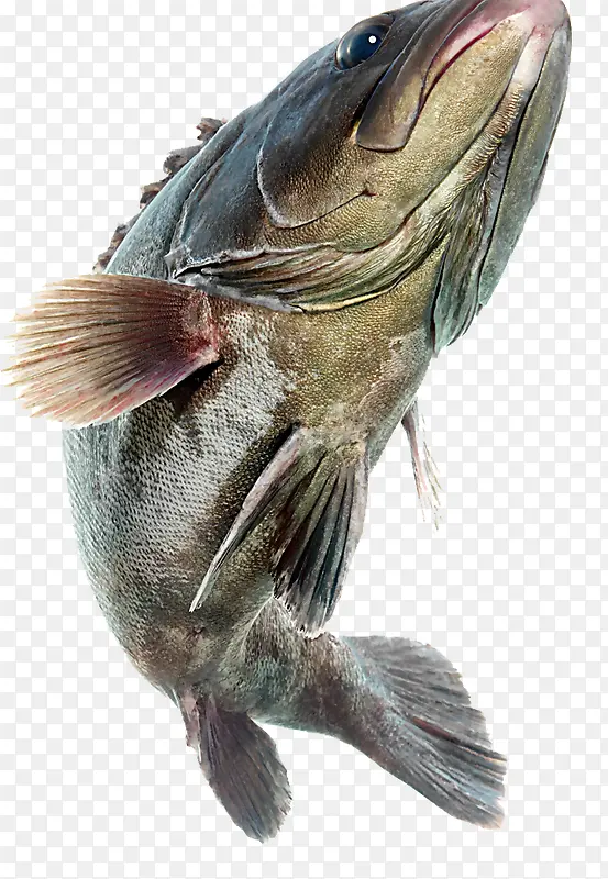 ����廭-������