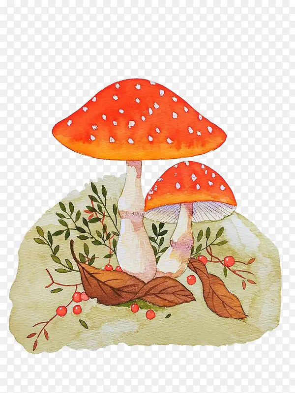 ����Ģ��-������