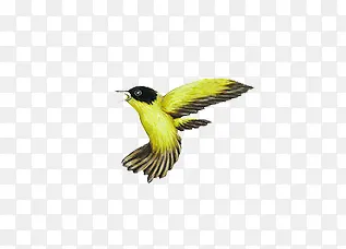 �ֻ����-������