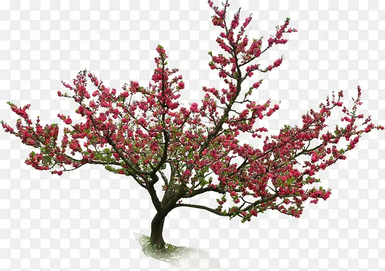 ��-������