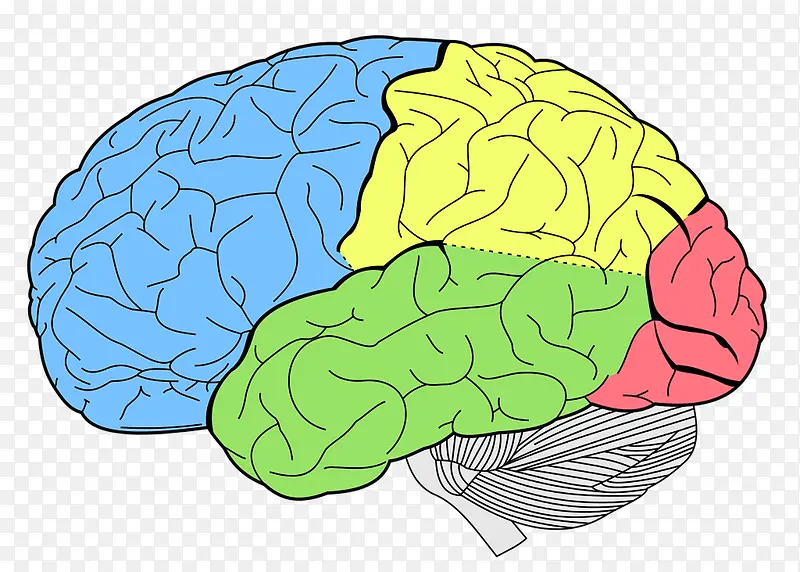 ��ɫ�Ĵ���-������