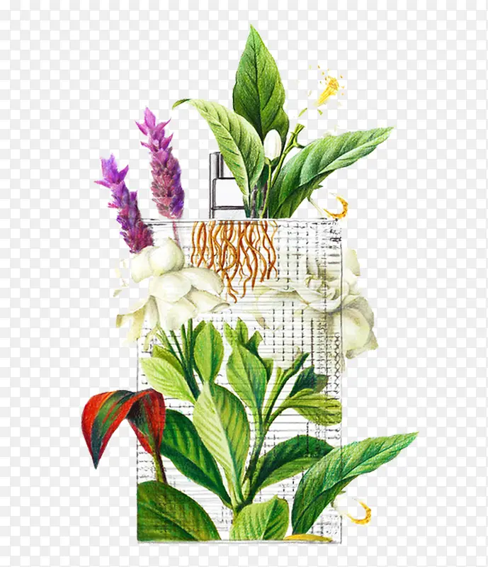 ��ˮ޹�²ݲ廭-������