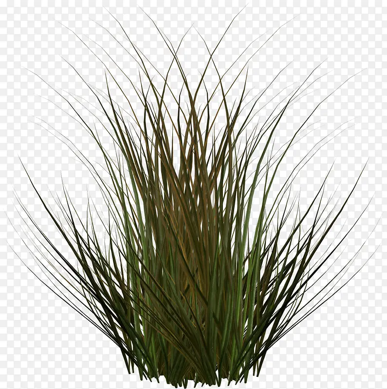 ��-������