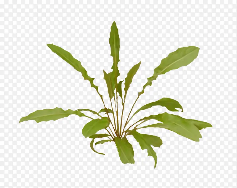 �Ӳ�����ز�-������