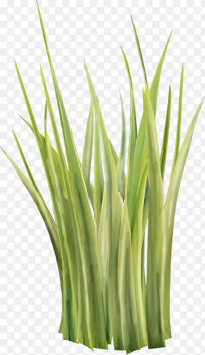 С��ͼƬ�ز�-������