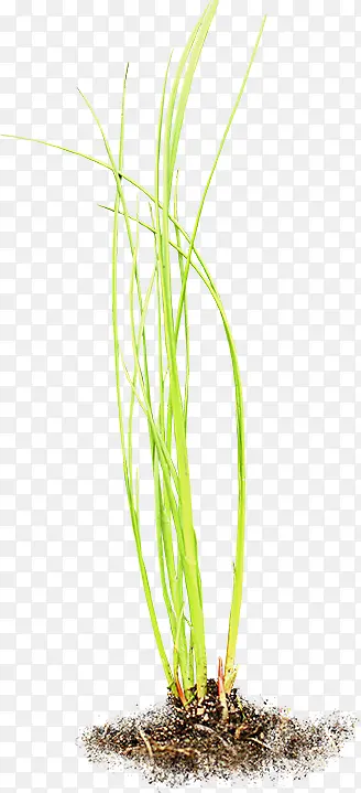 ����ز�ͼƬ-������