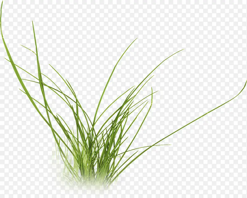 �̲�����ز�-������