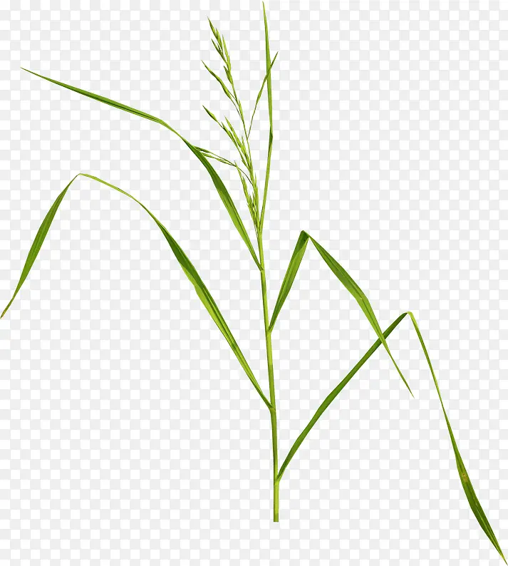 �̲��ز�ͼƬ-������