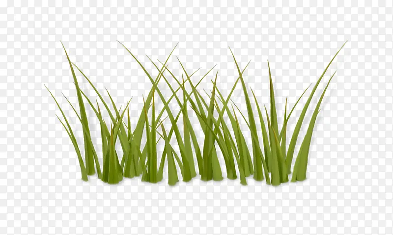 �Ӳ��ز�ͼƬ-������