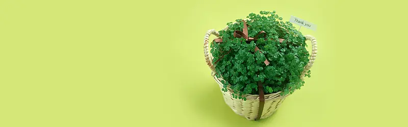 ���¼�Լ��ɫֲ�����Ժ�������-������