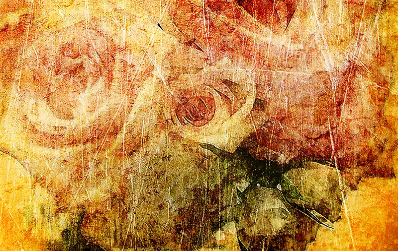 ����õ�廨����-������