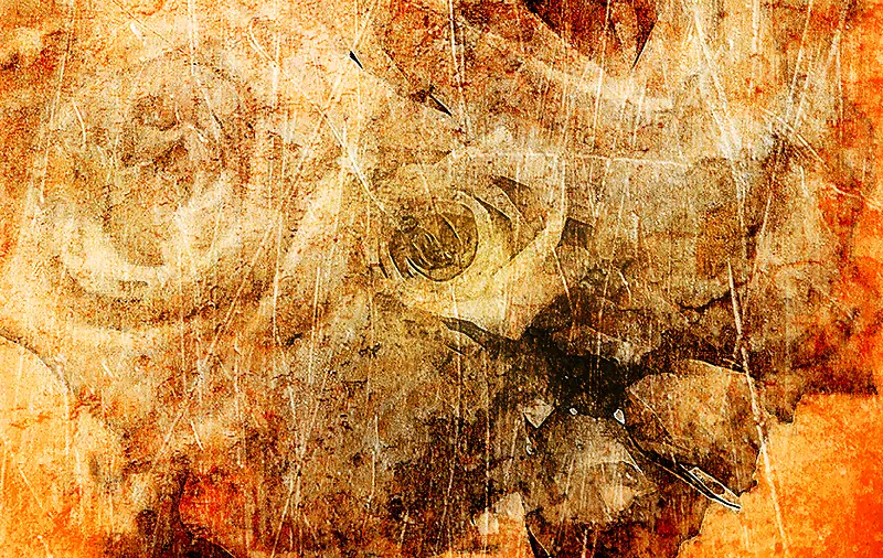 ī��õ�廨����-������