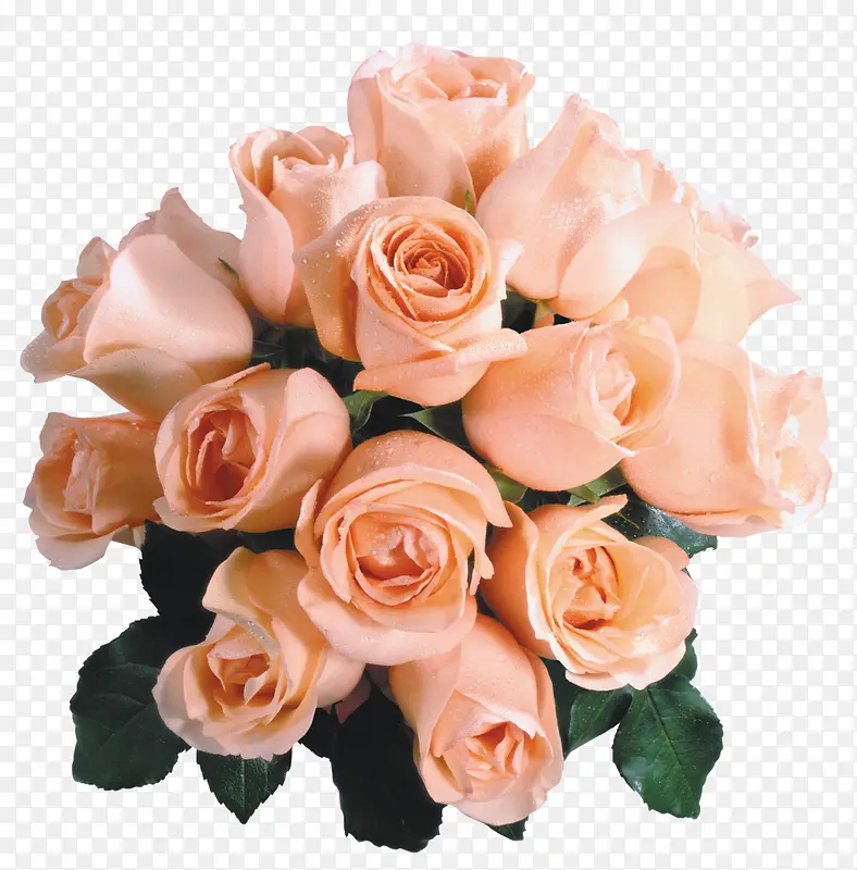 ���ݻ�ʸ�������ز�-������