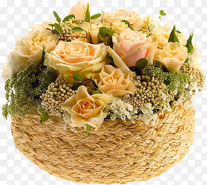 �ʻ��ݵ�-������