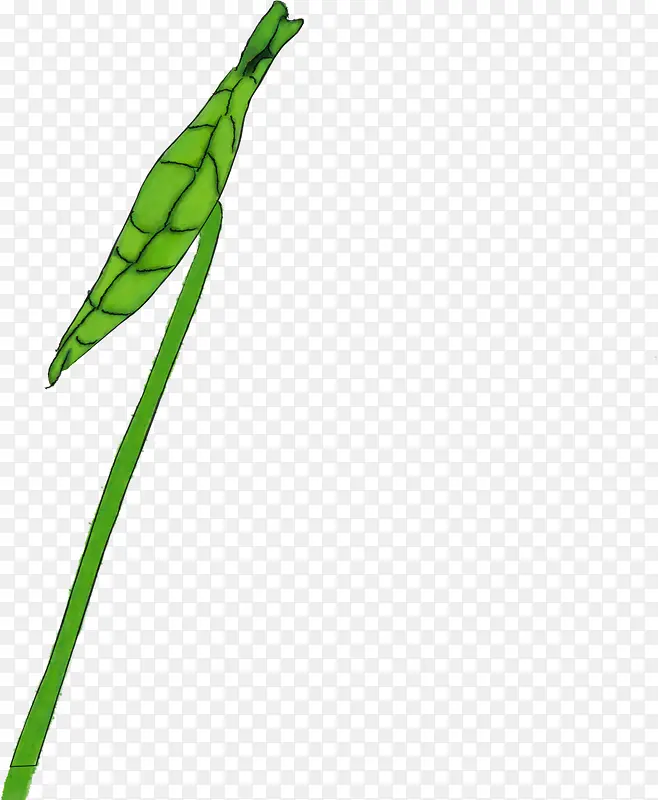 ������Ҷ��ͨ����-������