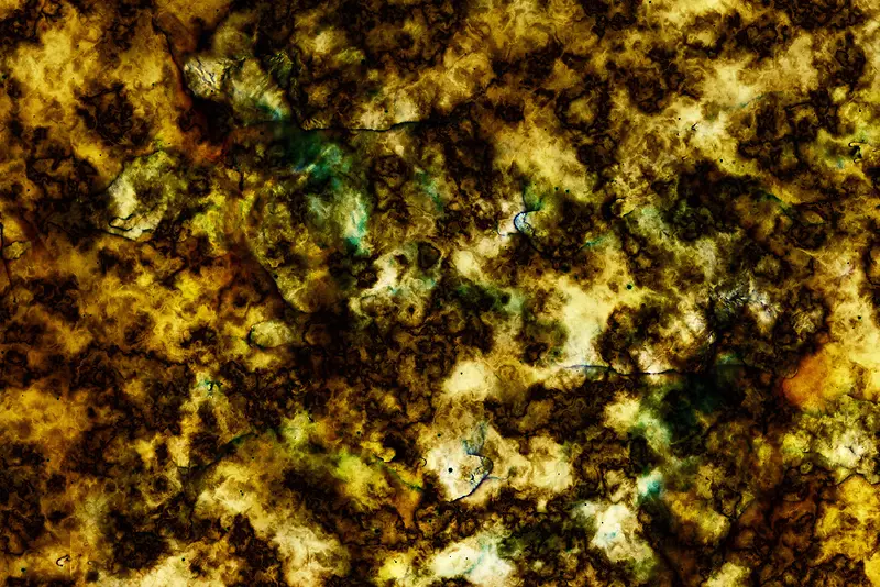 ���ɸ�����������-������