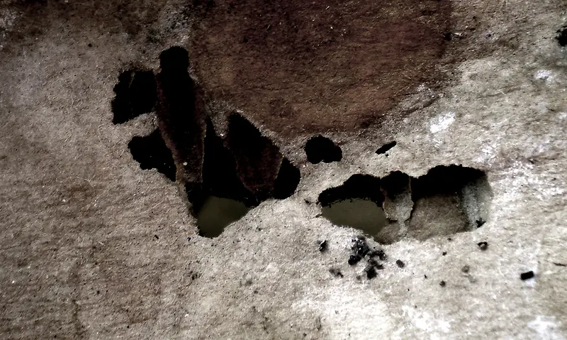 ���õı���-������