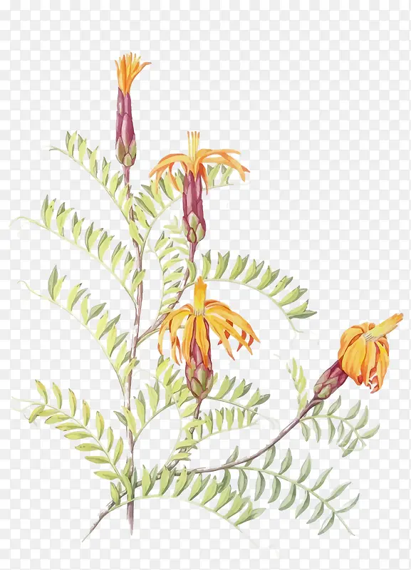 ʸ��ˮ�ʻ���-������