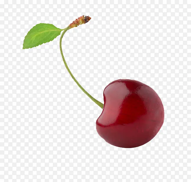 ˮ�����޵���֦��Ҷ-������