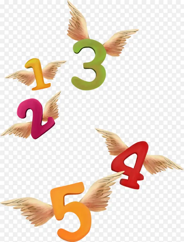 2017��ɫ����������-������