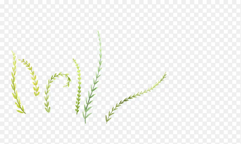 �����ĺ���-������