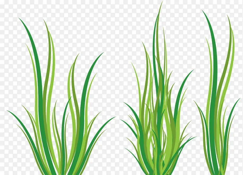 ����С��-������