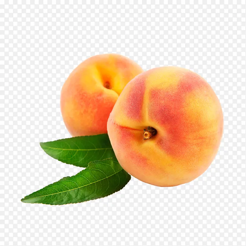 ����-������