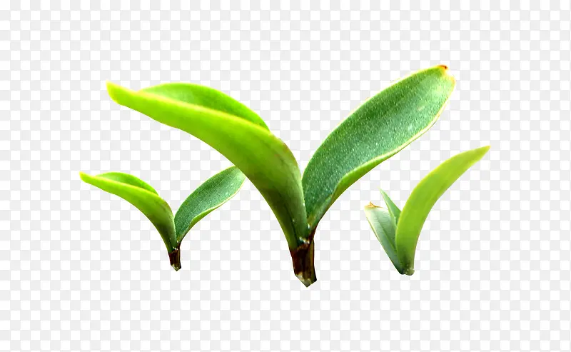 С��-������