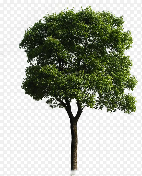 ����������Ӱ���⻷����Ⱦ-������