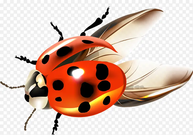 ��ͨ�ֻ�����-������