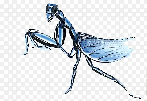 �ֻ����-������