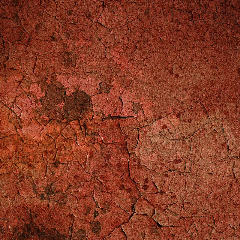 ����ǽ�ڱ���-������