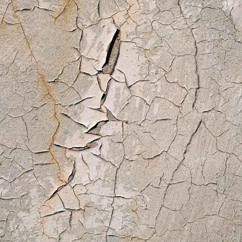 ����ǽ�ڱ���-������