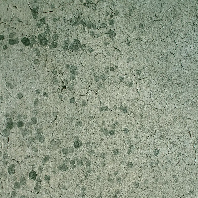 ǽ�ڱ�������-������