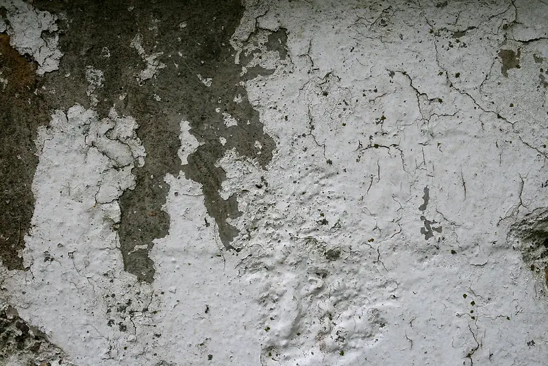 ǽ�ڱ�����Ӱ-������