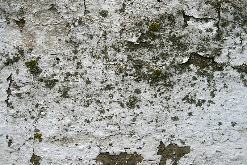 ǽ�ڱ�������-������