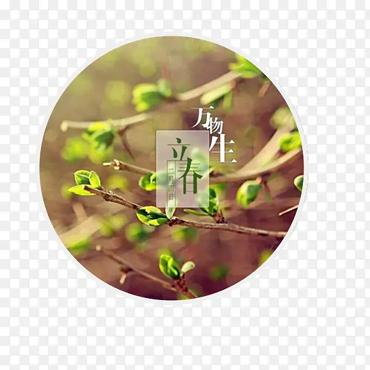 ��������Ԫ��-������