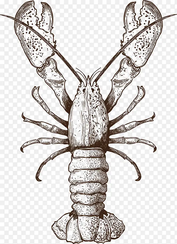 �ֻ��Ϻ-������