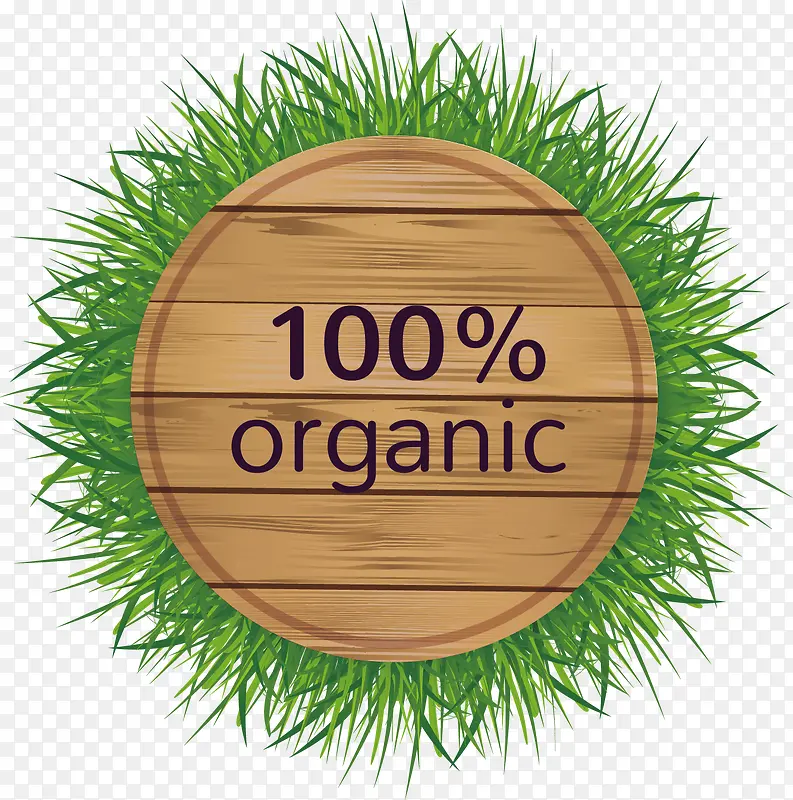 ���������ز�ʸ��-������