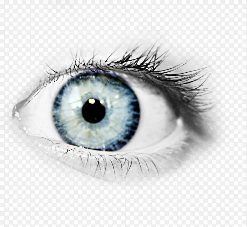 �۾��ز�-������