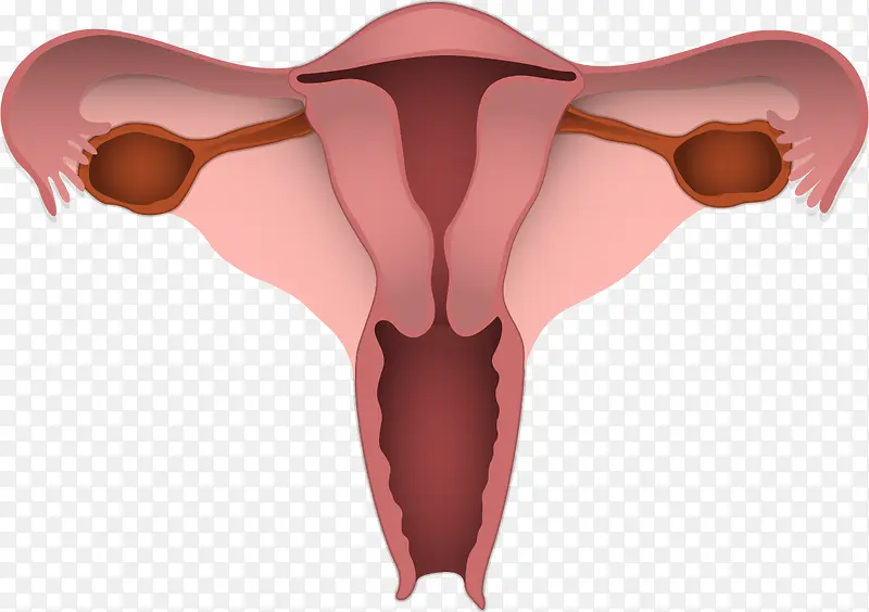 ��������PNGʸ��Ԫ��-������