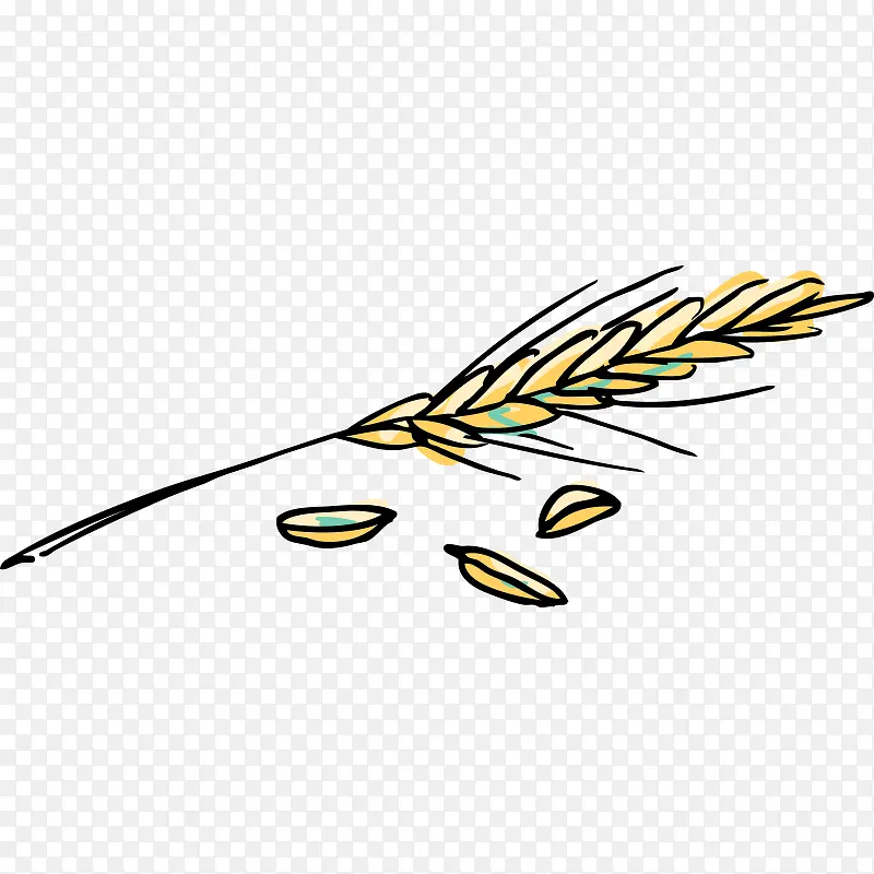 �ֻ� ʳ��Ǧ�ʻ� ��ʳ ʳ�� ���-������