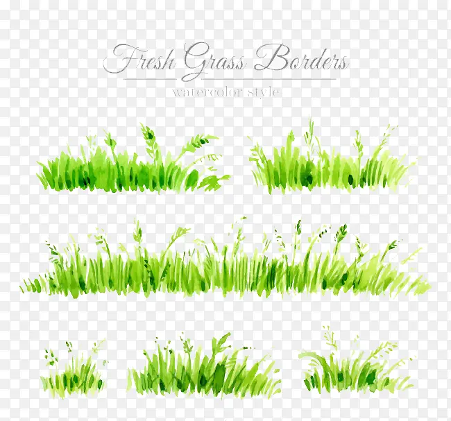 ˮ�ʻ��Ĳݴ�-������